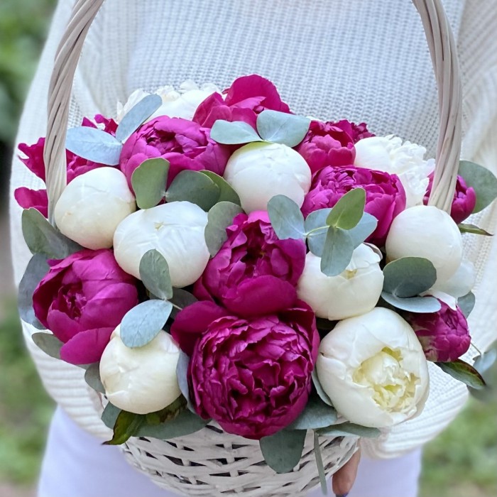 25 малиновых и белых пионов в корзине